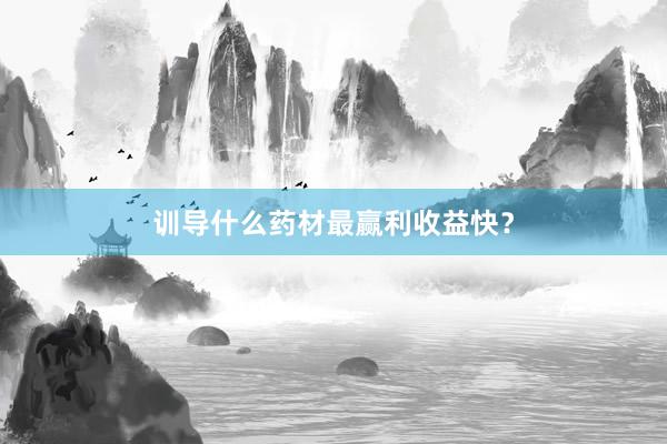 训导什么药材最赢利收益快？